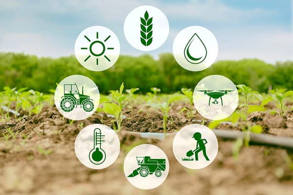 THIẾT BỊ IOT NÔNG NGHIỆP